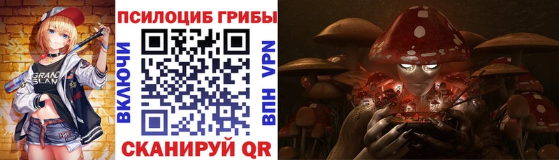 продажа наркотиков Краснообск Псилоцибиновые грибы Psilocybine cubensis
